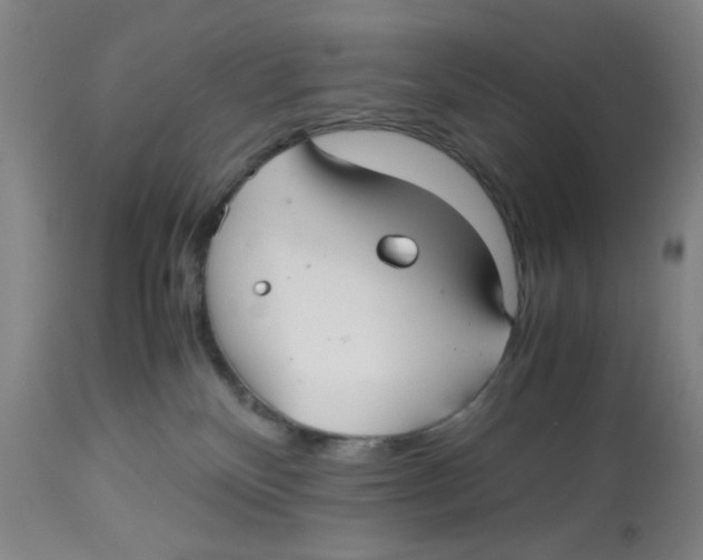 X0000113140136200910021448