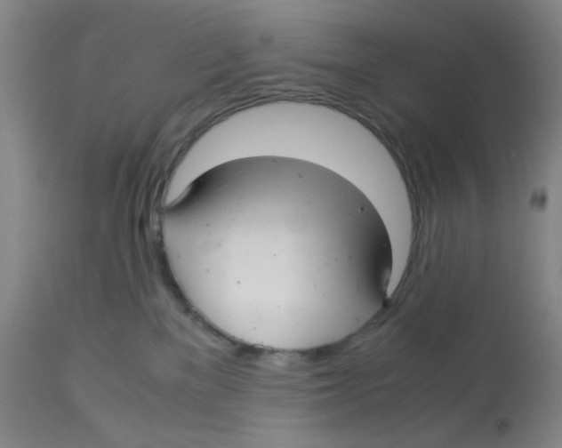 X0000113140137200910021448