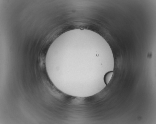 X0000113140138200910021448