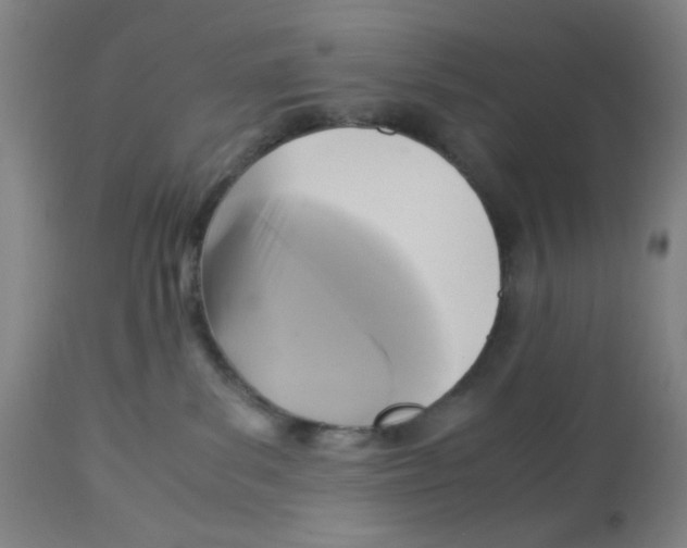 X0000113140139200910021448