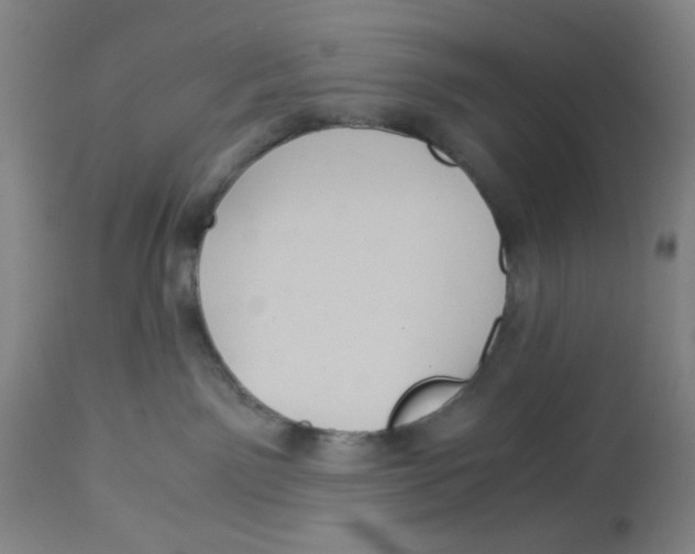 X0000113140141200910021448