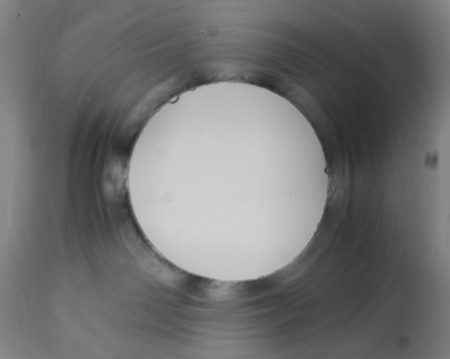 X0000113140142200910021448