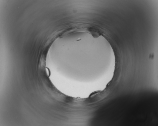 X0000113140143200910021448