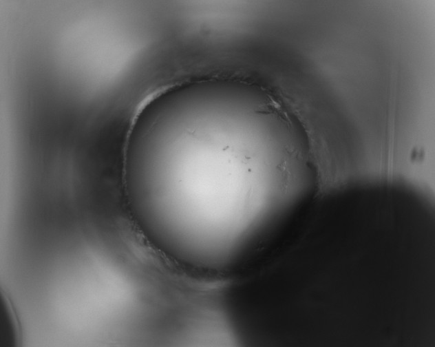 X0000113140144200910021448