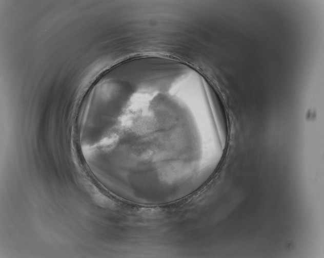 X0000113140145200910021447