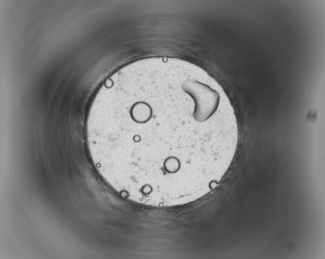 X0000113140146200910021447