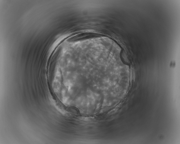 X0000113140147200910021447