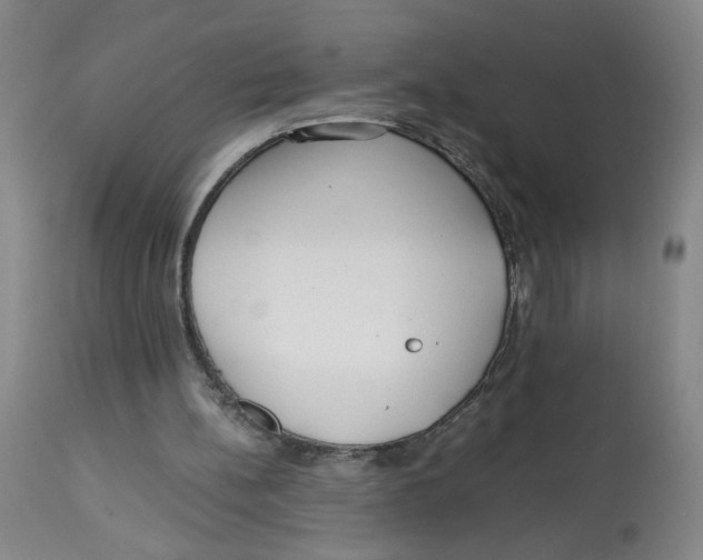 X0000113140148200910021447