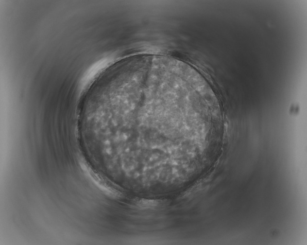 X0000113140149200910021447