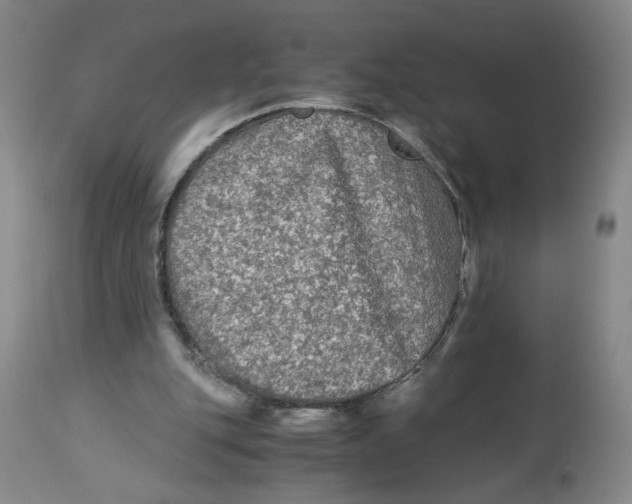 X0000113140151200910021447