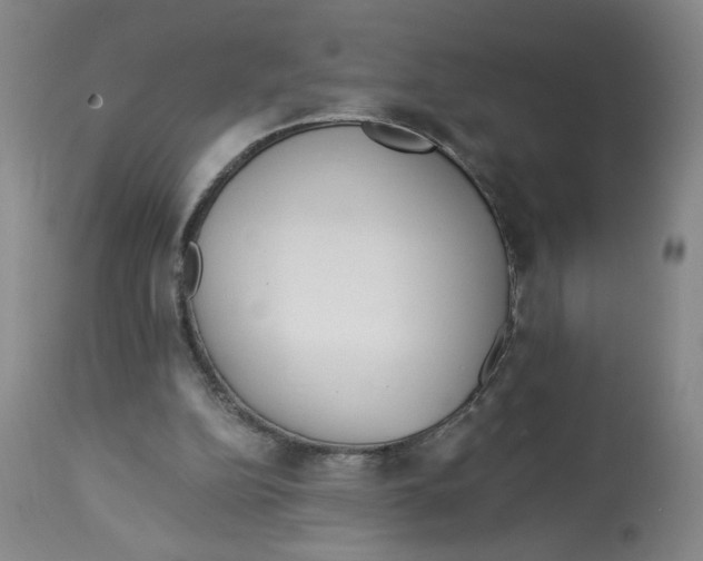 X0000113140152200910021447