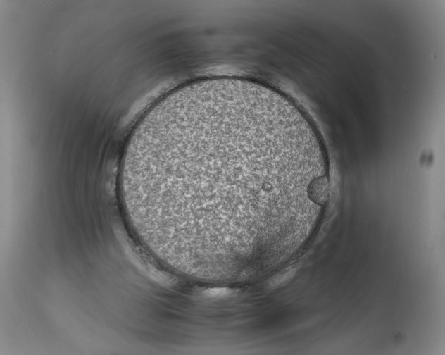 X0000113140153200910021447