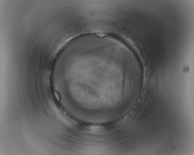 X0000113140154200910021447