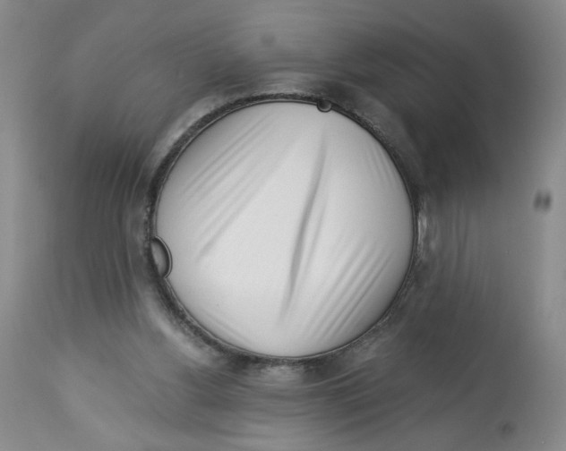 X0000113140156200910021447