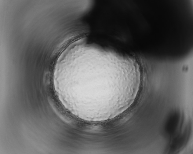 X0000113140157200910021447
