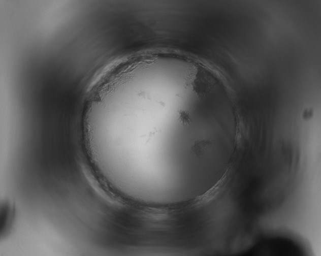X0000113140158200910021447