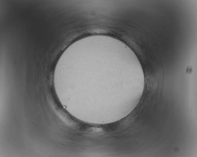 X0000113140159200910021448