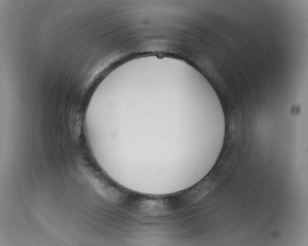 X0000113140160200910021448