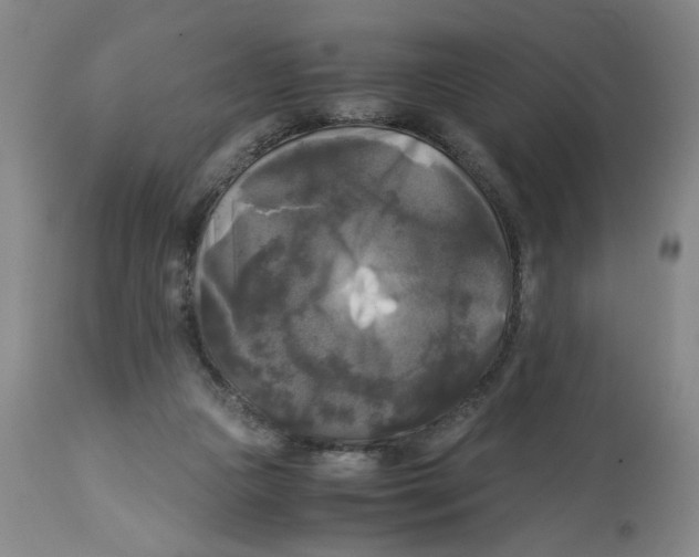 X0000113140161200910021448