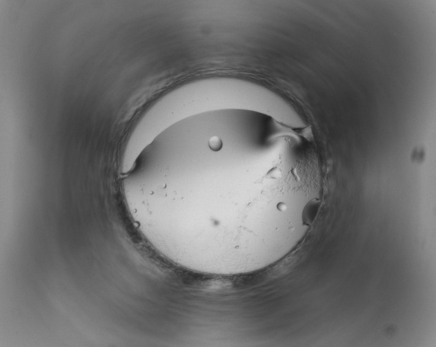 X0000113140162200910021448