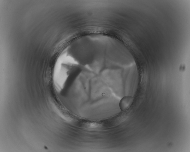 X0000113140165200910021448