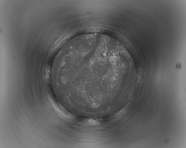 X0000113140166200910021448