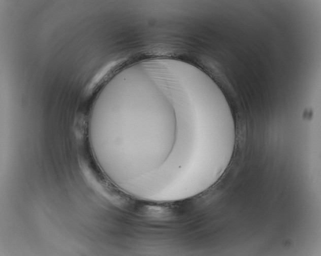 X0000113140167200910021448