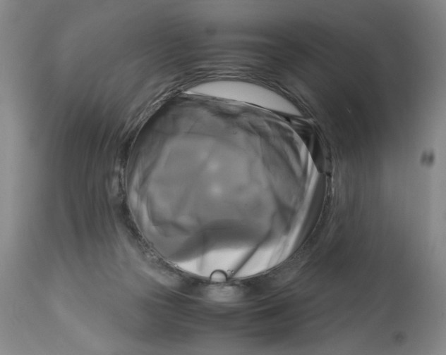 X0000113140169200910021448