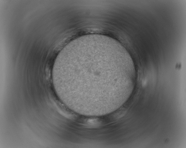 X0000113140173200910021448