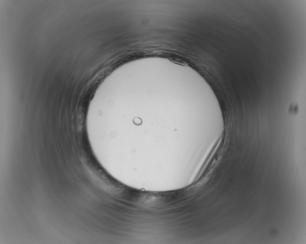 X0000113140174200910021448