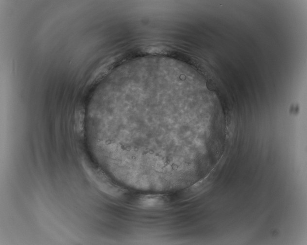 X0000113140175200910021448