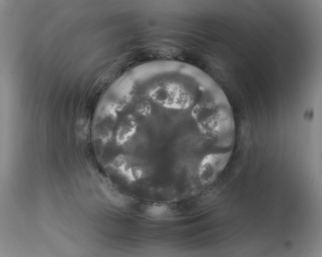 X0000113140177200910021448
