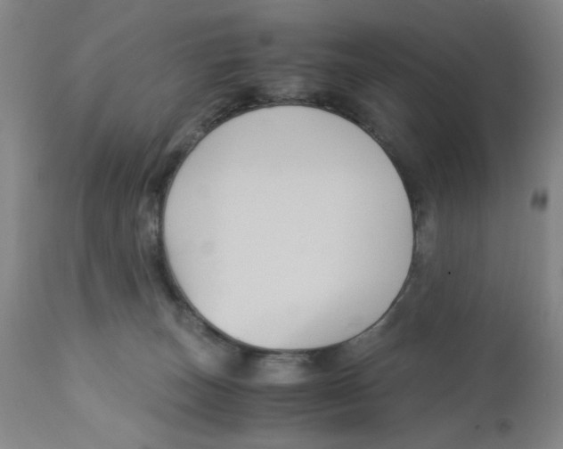X0000113140179200910021448