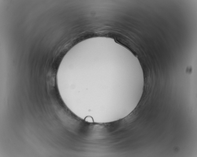 X0000113140180200910021448