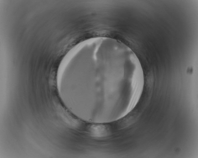 X0000113140181200910021448