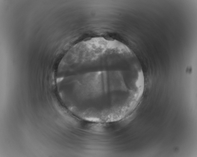 X0000113140182200910021448