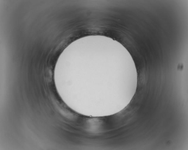 X0000113140183200910021448