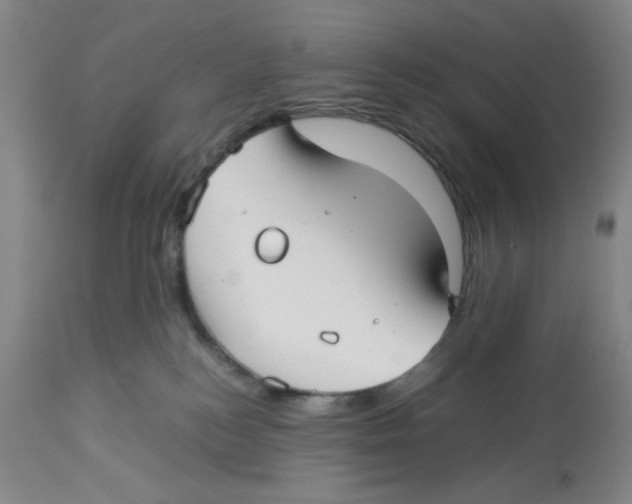 X0000113140184200910021448