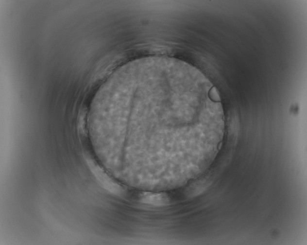 X0000113140185200910021448