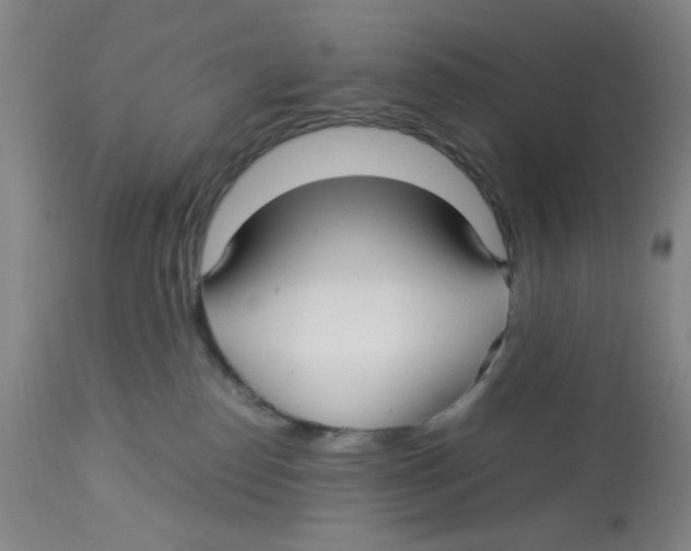 X0000113140186200910021448