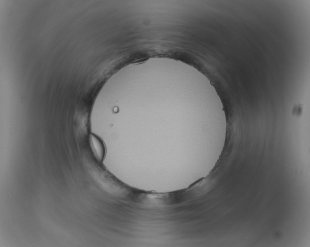 X0000113140188200910021448