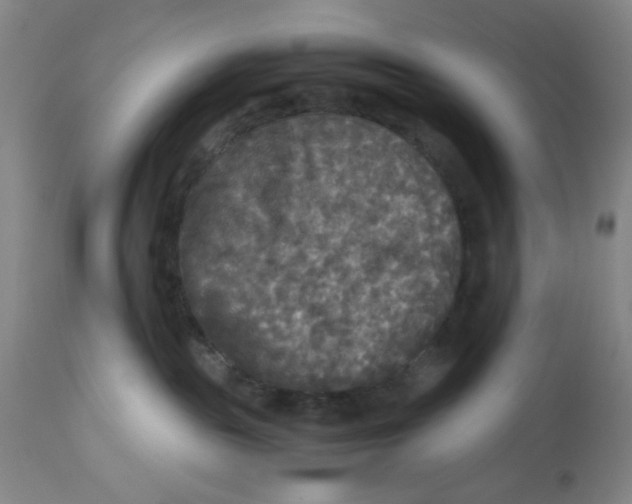 X0000113140189200910021448