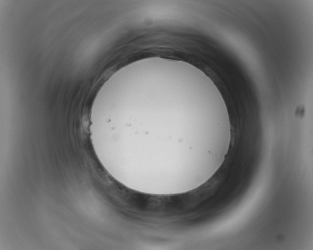 X0000113140190200910021448