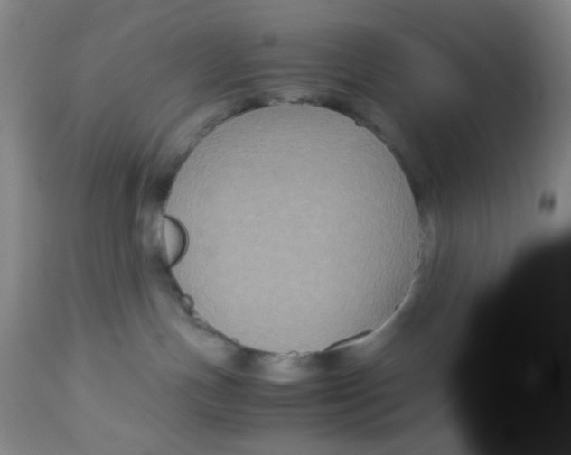X0000113140191200910021448