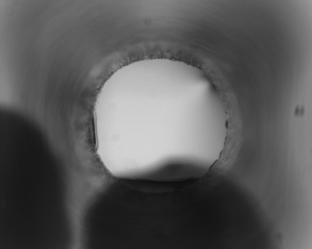 X0000113140192200910021448