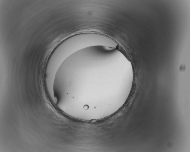 X0000113140193200910021447