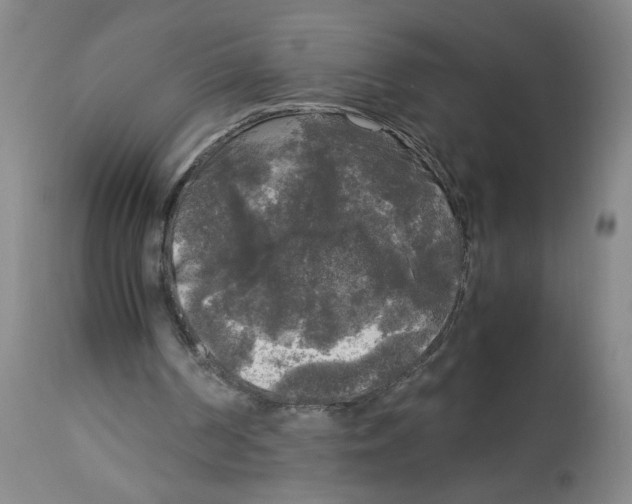 X0000113140194200910021447