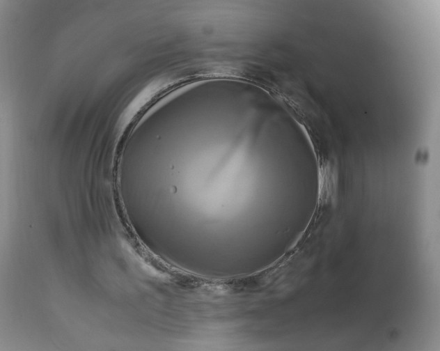 X0000113140195200910021447