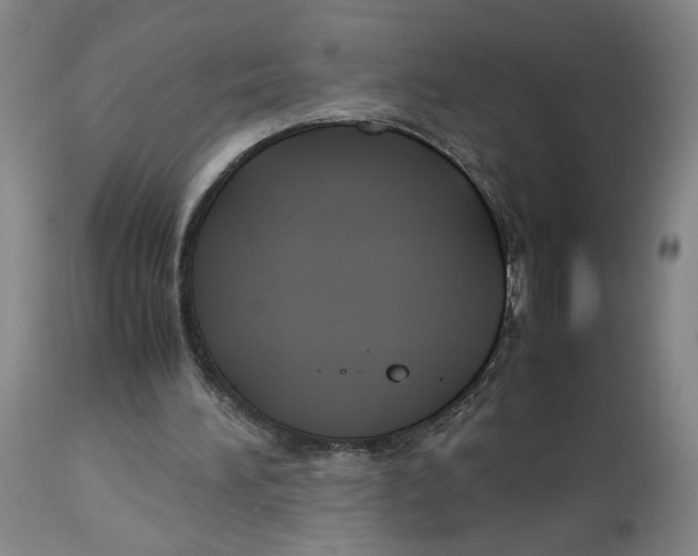X0000113140196200910021447