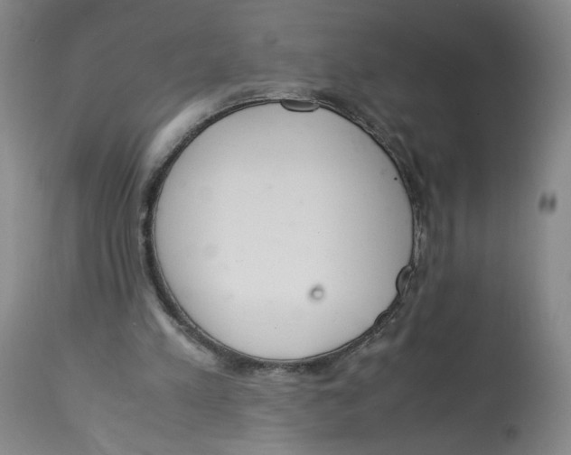 X0000113140197200910021447